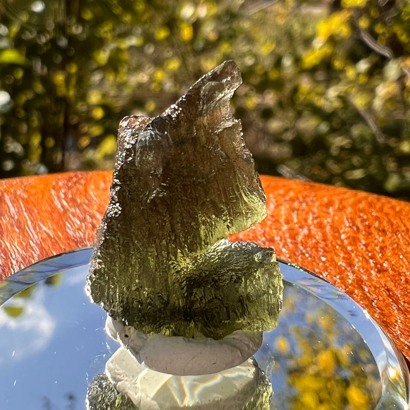 Moldavite 2.6 grams #2117-Moldavite Life