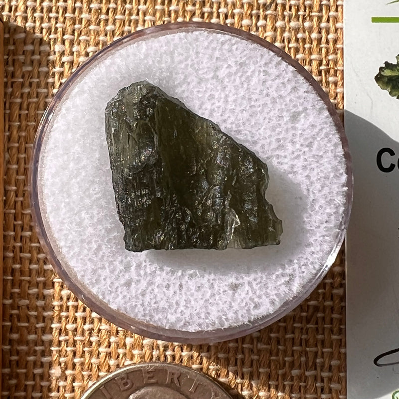 Moldavite 2.6 grams #2135-Moldavite Life