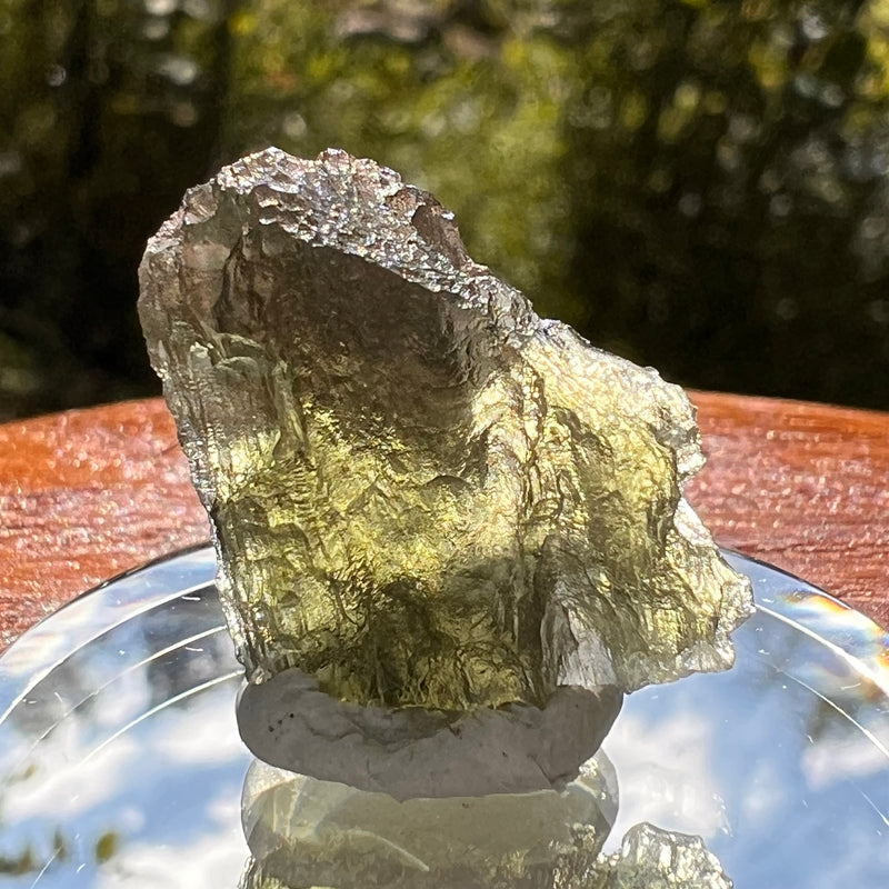 Moldavite 2.6 grams #2135-Moldavite Life