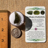Moldavite 2.6 grams #2144-Moldavite Life