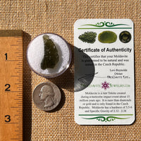 Moldavite 2.6 grams #2144-Moldavite Life