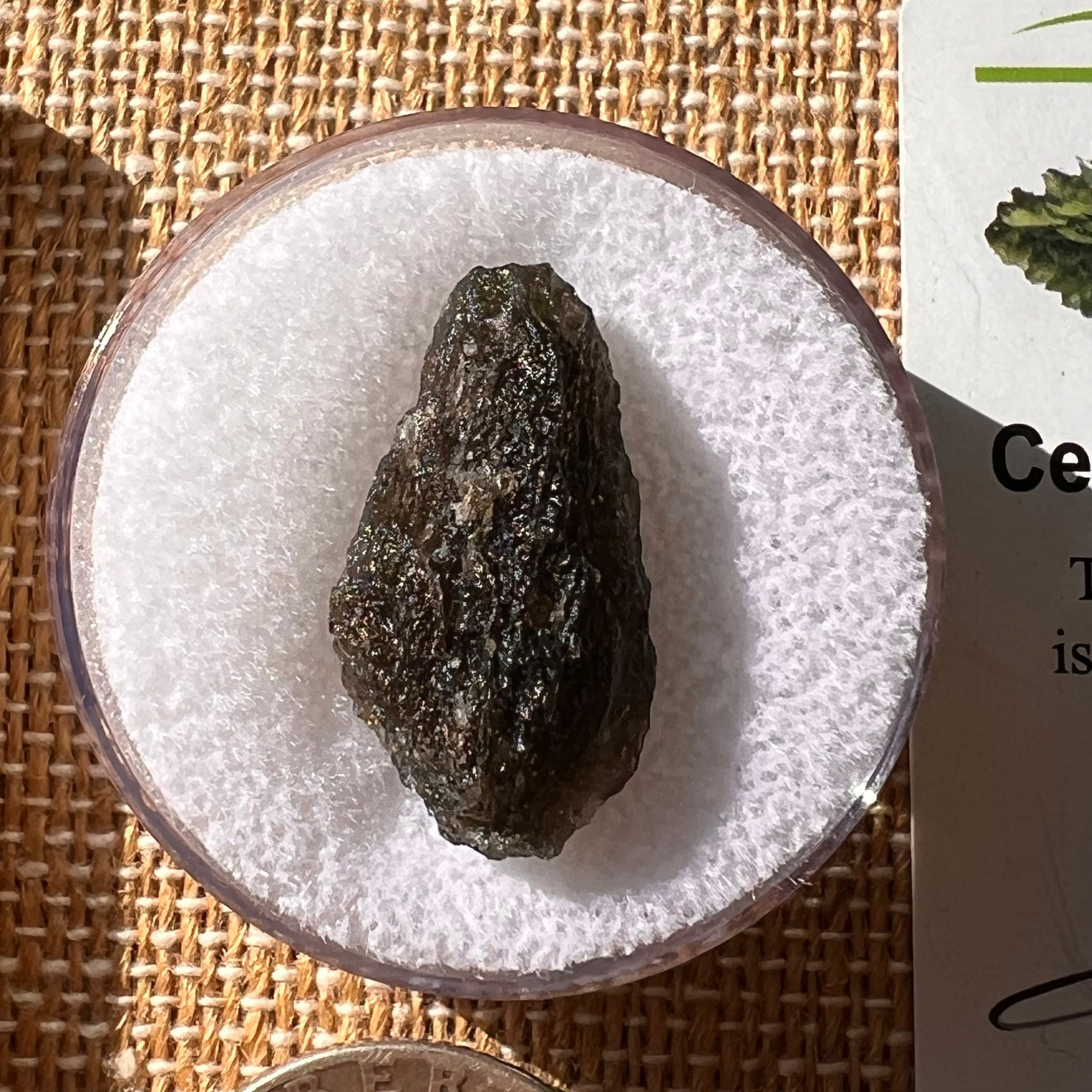 Moldavite 2.6 grams #2145-Moldavite Life