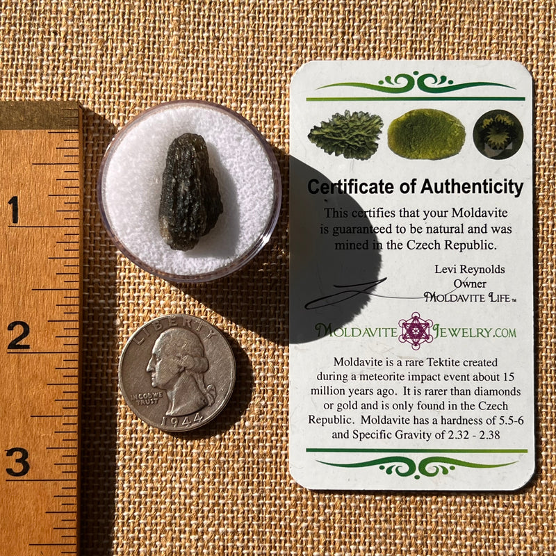 Moldavite 2.6 grams #2145-Moldavite Life