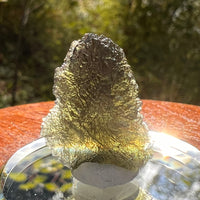 Moldavite 2.6 grams #2170-Moldavite Life