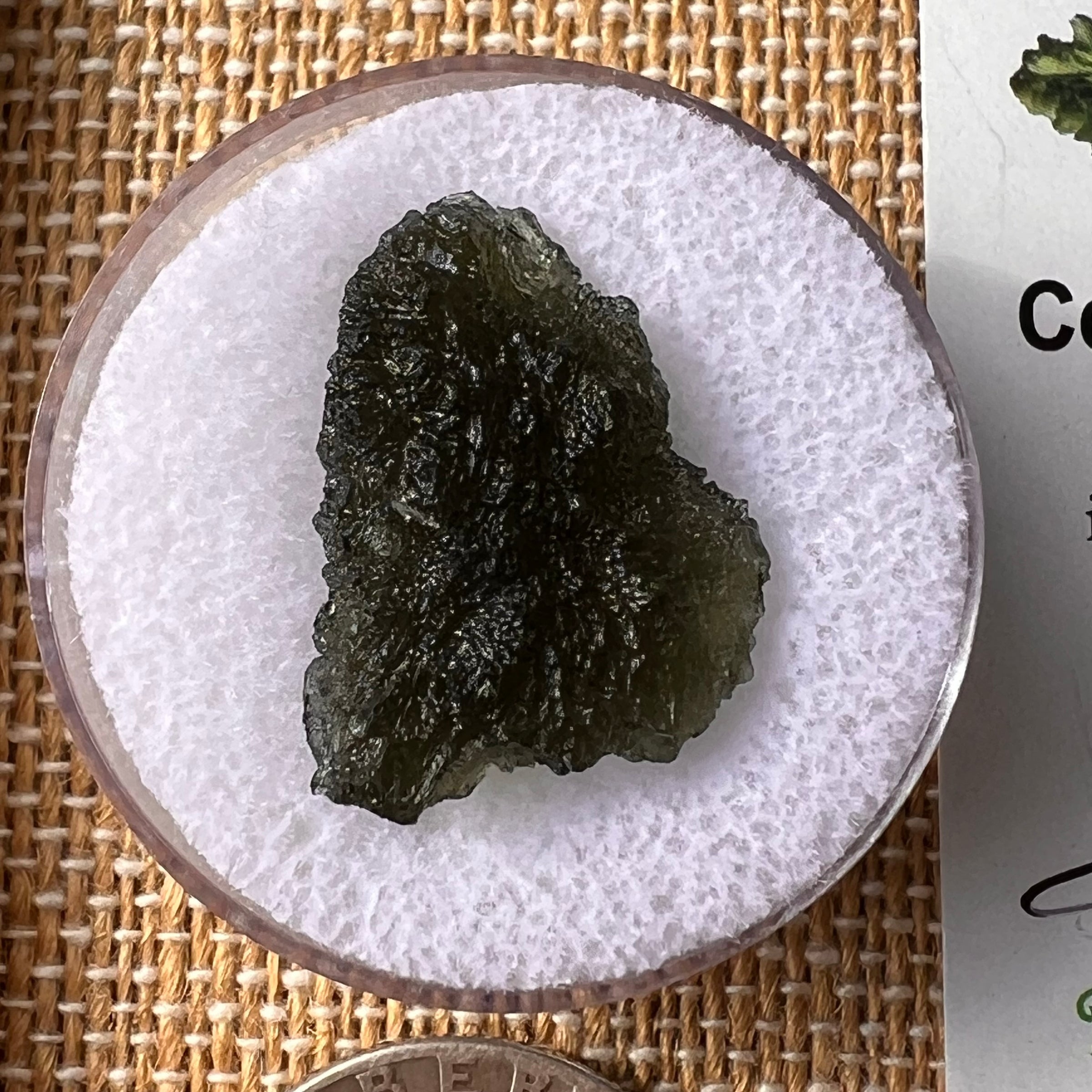 Moldavite 2.6 grams #2170-Moldavite Life