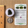 Moldavite 2.6 grams #2170-Moldavite Life