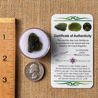Moldavite 2.6 grams #2170-Moldavite Life