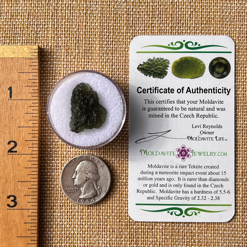Moldavite 2.6 grams #2170-Moldavite Life