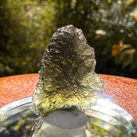 Moldavite 2.6 grams #2170-Moldavite Life