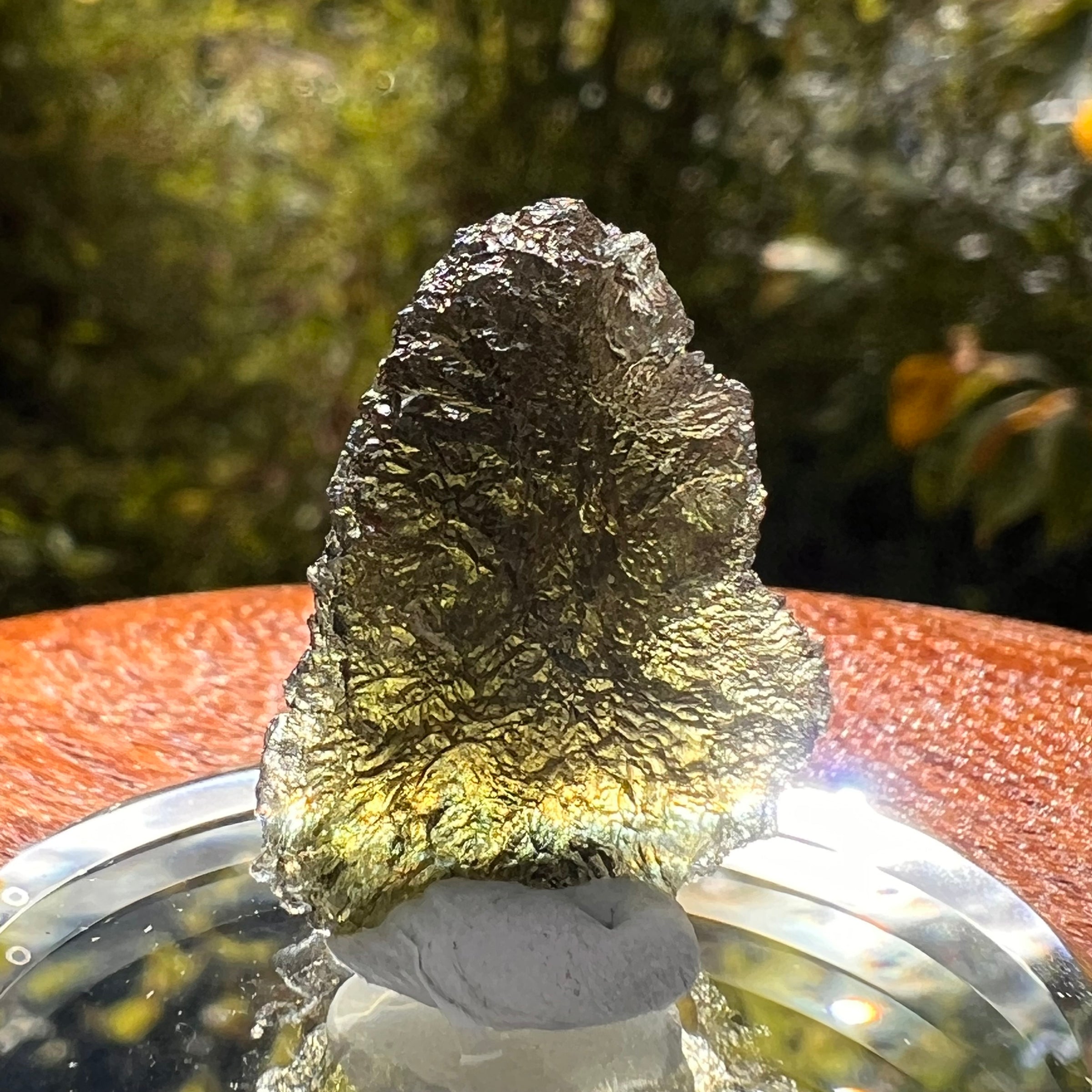 Moldavite 2.6 grams #2170-Moldavite Life