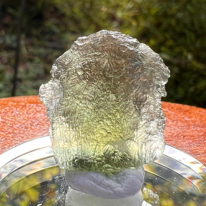 Moldavite 2.6 grams #2184-Moldavite Life