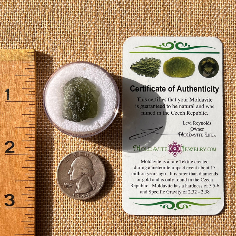 Moldavite 2.6 grams #2184-Moldavite Life