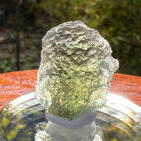Moldavite 2.6 grams #2184-Moldavite Life