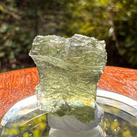 Moldavite 2.6 grams #2189-Moldavite Life
