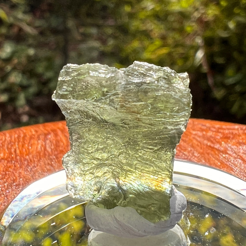 Moldavite 2.6 grams #2189-Moldavite Life