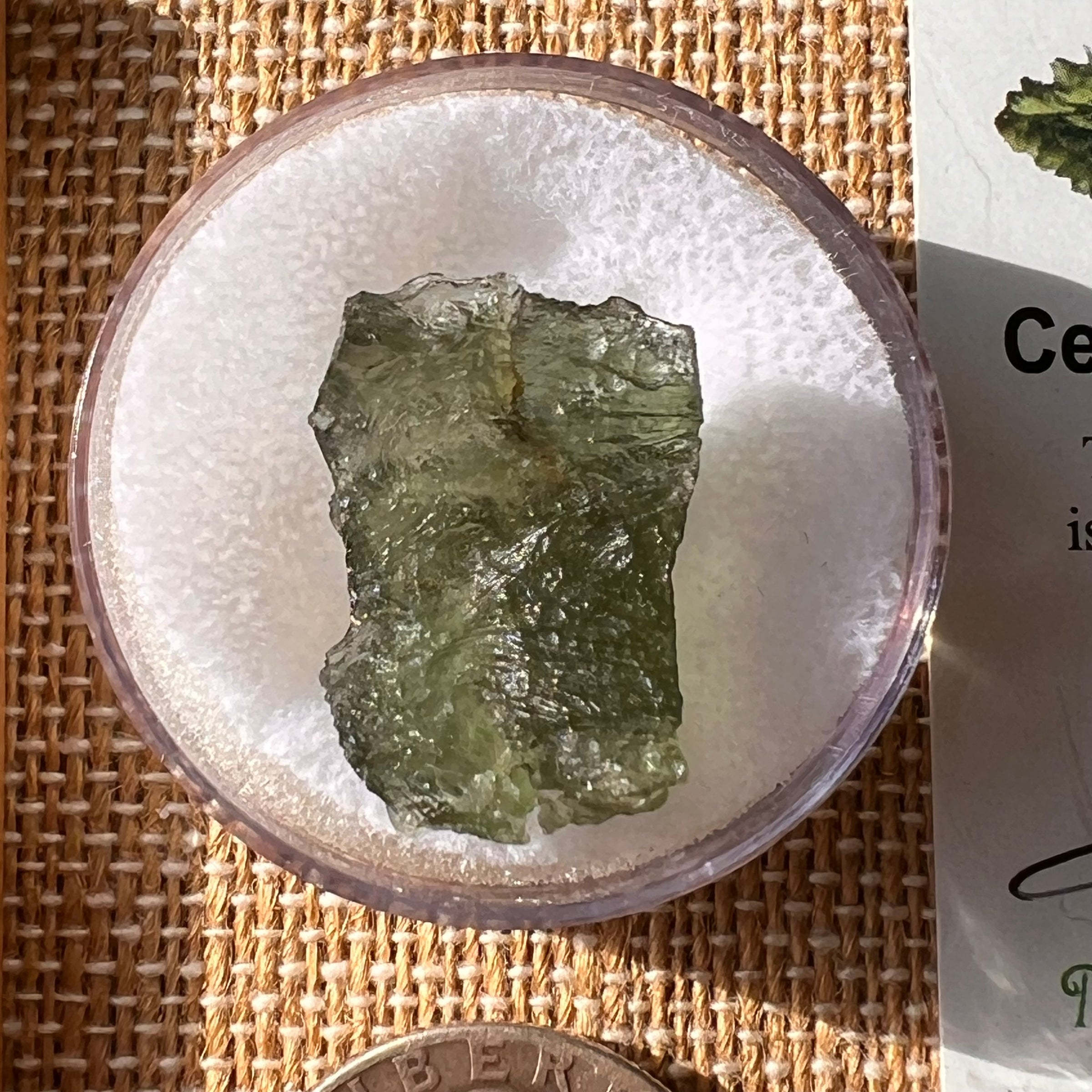 Moldavite 2.6 grams #2189-Moldavite Life