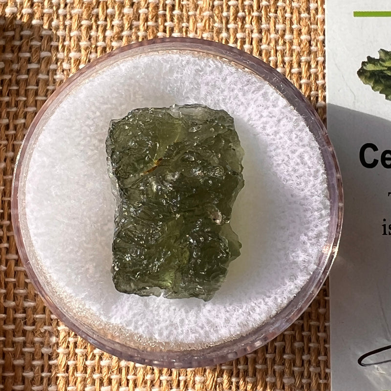 Moldavite 2.6 grams #2189-Moldavite Life