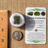 Moldavite 2.6 grams #2189-Moldavite Life