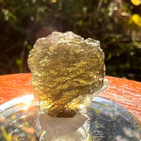 Moldavite 2.6 grams #2206-Moldavite Life