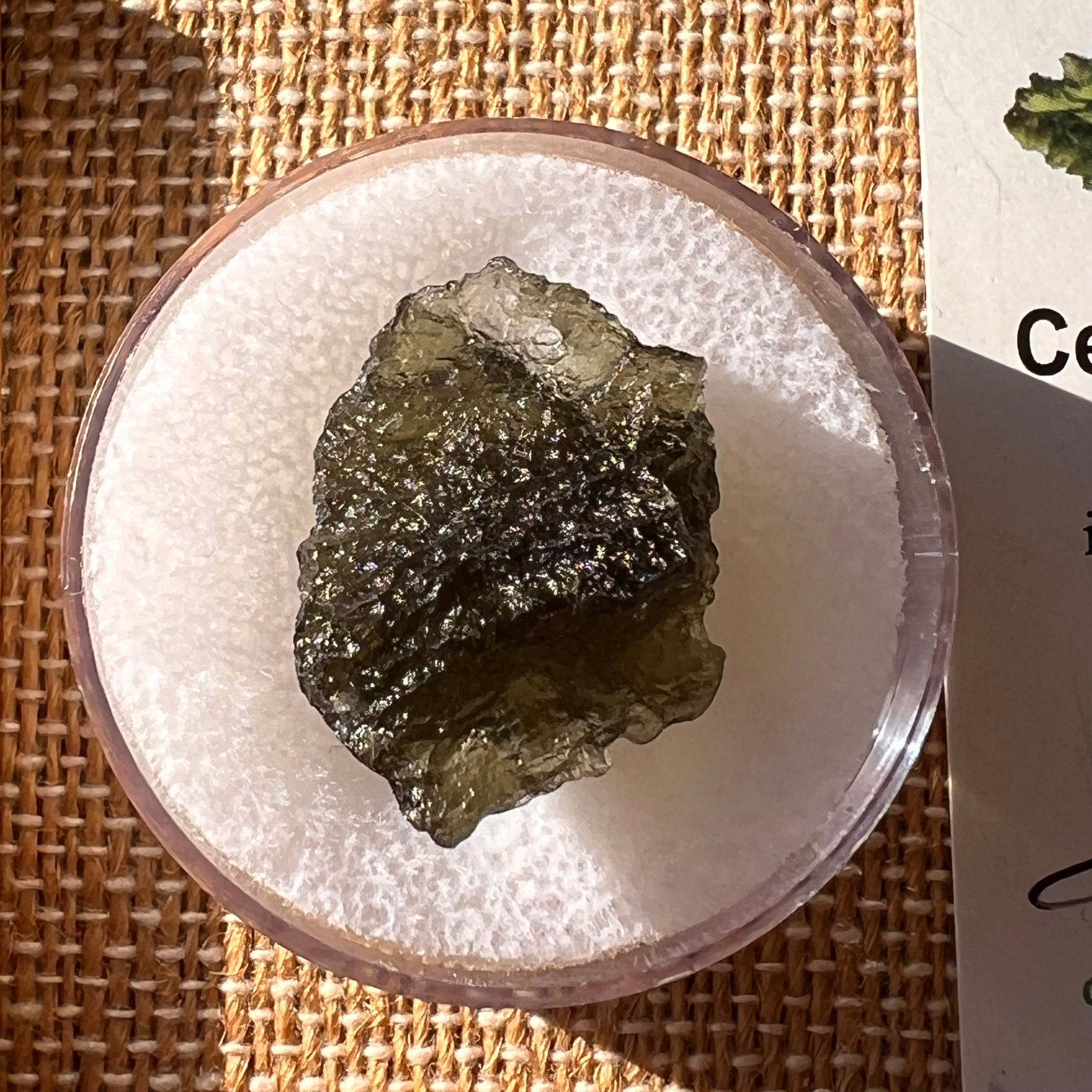 Moldavite 2.6 grams #2206-Moldavite Life
