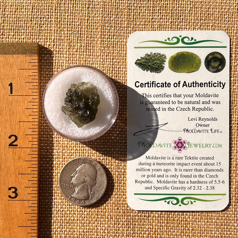 Moldavite 2.6 grams #2206-Moldavite Life