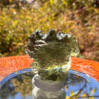 Moldavite 2.6 grams #2311-Moldavite Life