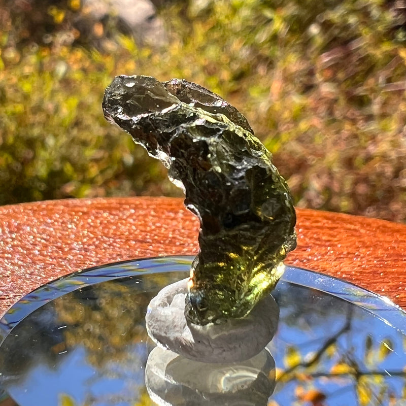 Moldavite 2.6 grams #2311-Moldavite Life