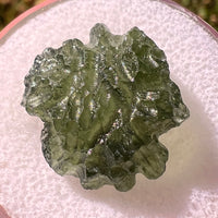 Moldavite 2.6 grams #2311-Moldavite Life