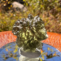 Moldavite 2.6 grams #2311-Moldavite Life