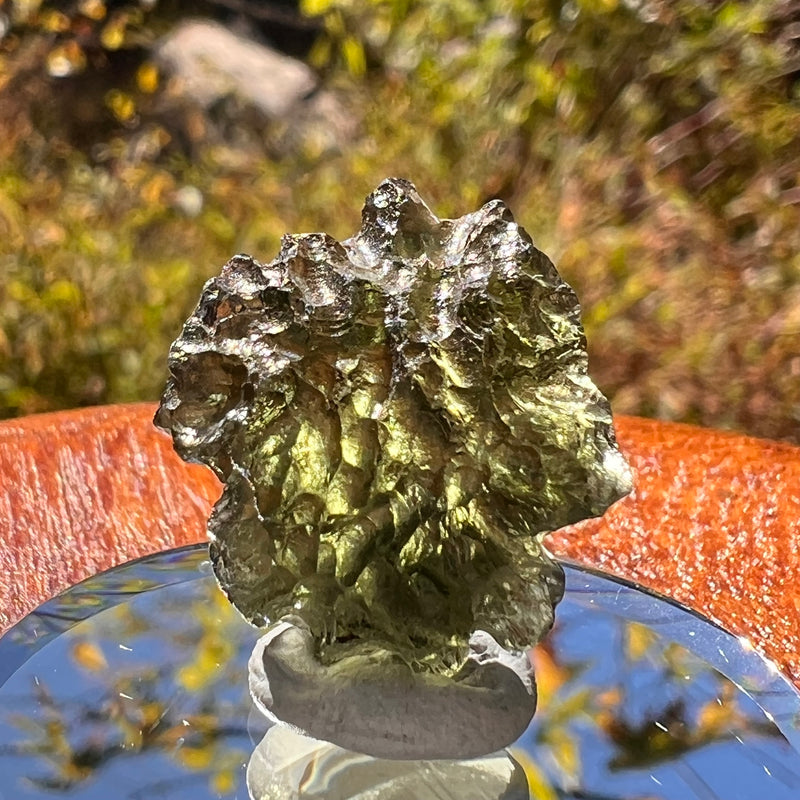 Moldavite 2.6 grams #2311-Moldavite Life