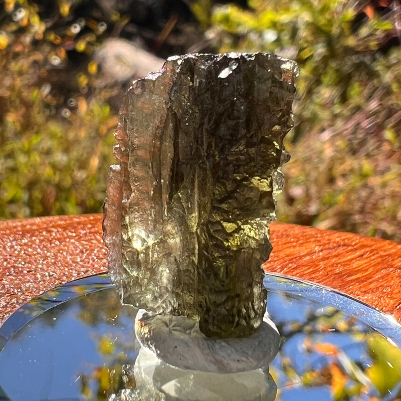 Moldavite 2.6 grams #2315-Moldavite Life