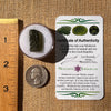 Moldavite 2.6 grams #2315-Moldavite Life