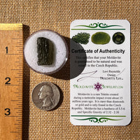 Moldavite 2.6 grams #2315-Moldavite Life