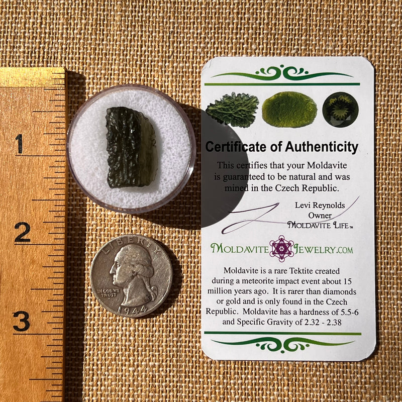 Moldavite 2.6 grams #2315-Moldavite Life
