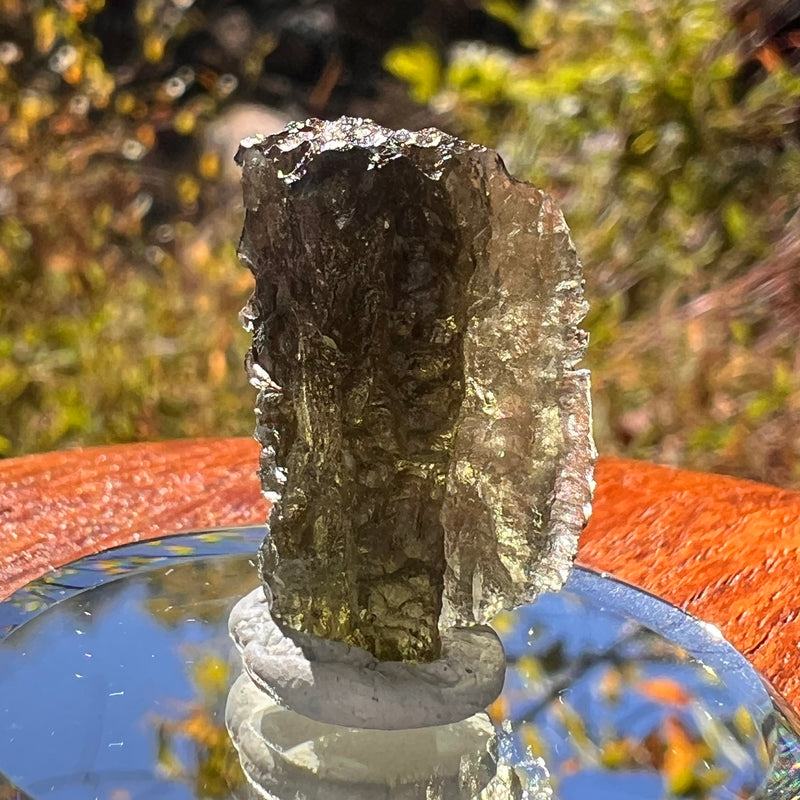 Moldavite 2.6 grams #2315-Moldavite Life