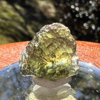 Moldavite 2.6 grams #2410-Moldavite Life
