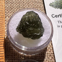 Moldavite 2.6 grams #2410-Moldavite Life