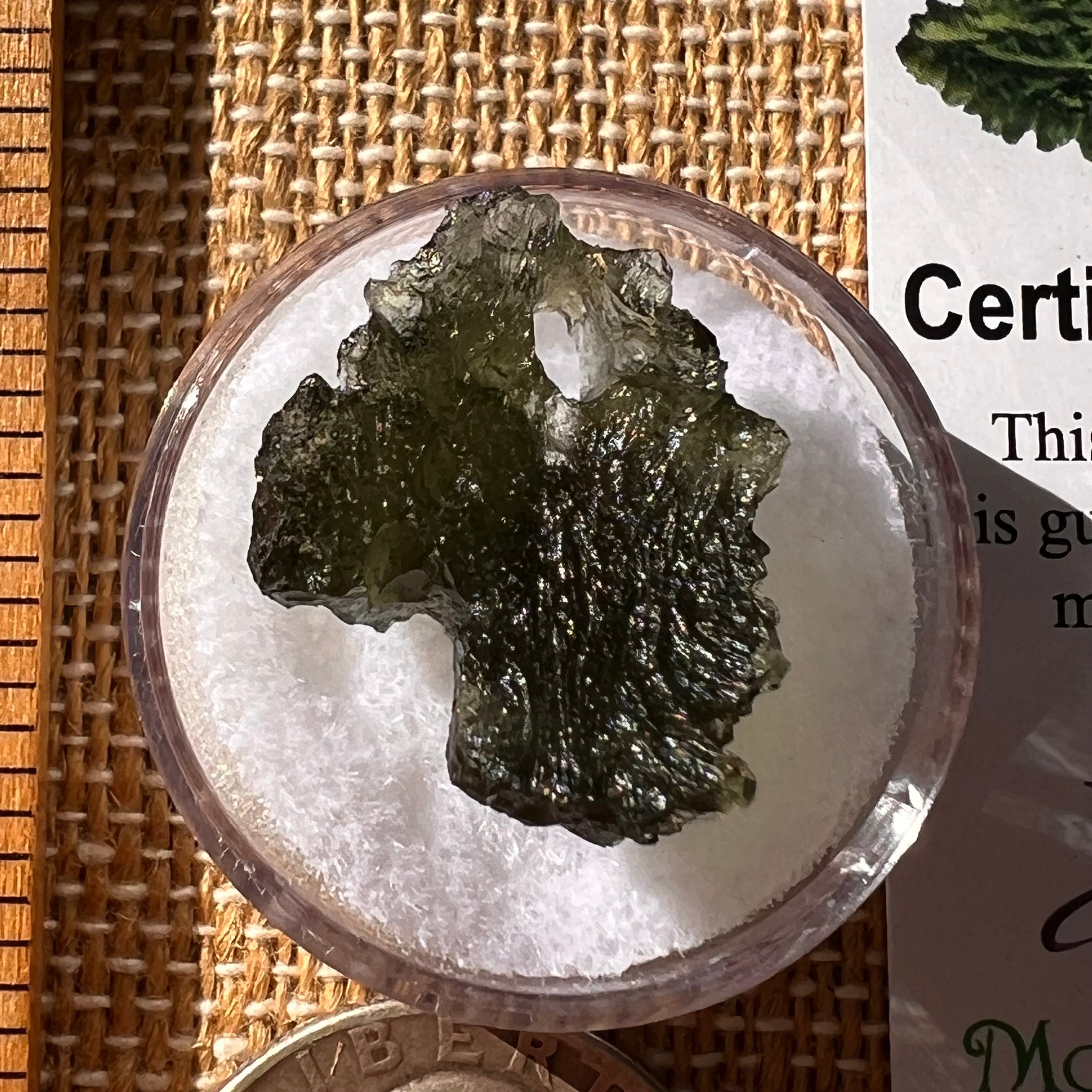 Moldavite 2.6 grams Natural Hole #2259-Moldavite Life