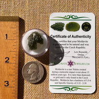 Moldavite 2.6 grams Natural Hole #2259-Moldavite Life