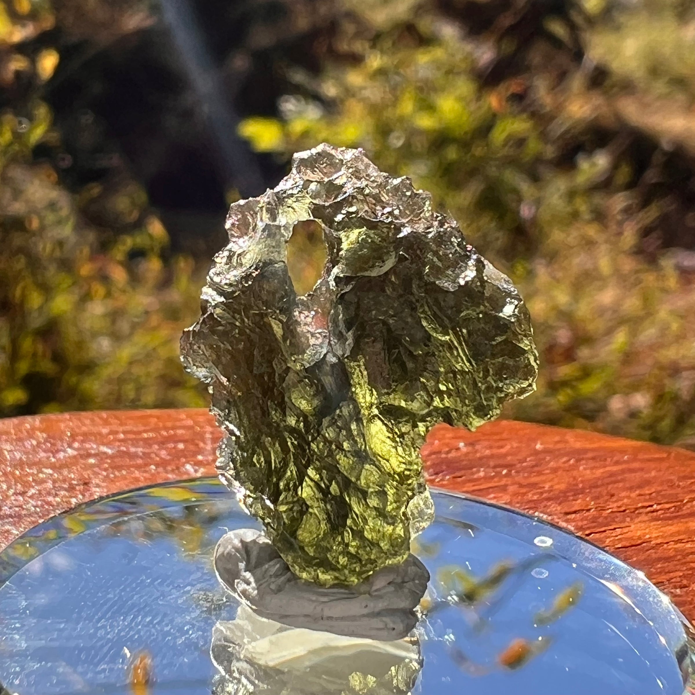 Moldavite 2.6 grams Natural Hole #2259-Moldavite Life
