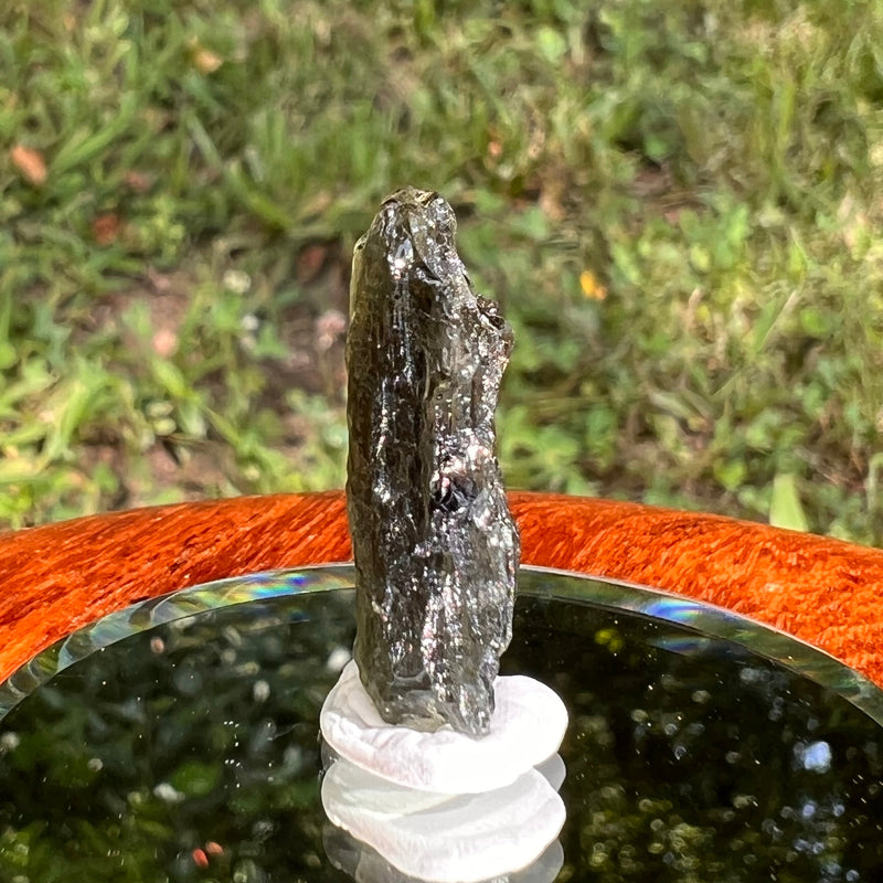 Moldavite 2.7 grams #1669-Moldavite Life