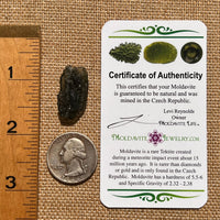 Moldavite 2.7 grams #1669-Moldavite Life