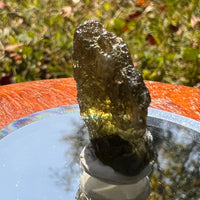 Moldavite 2.7 grams #1742-Moldavite Life