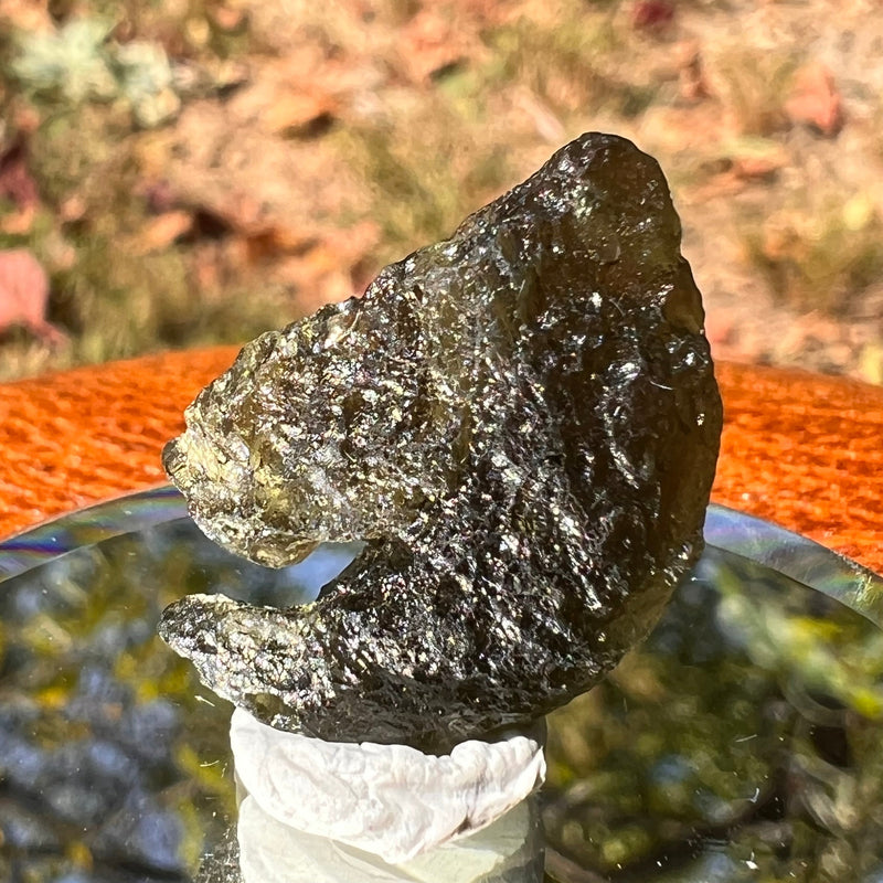 Moldavite 2.7 grams #1742-Moldavite Life