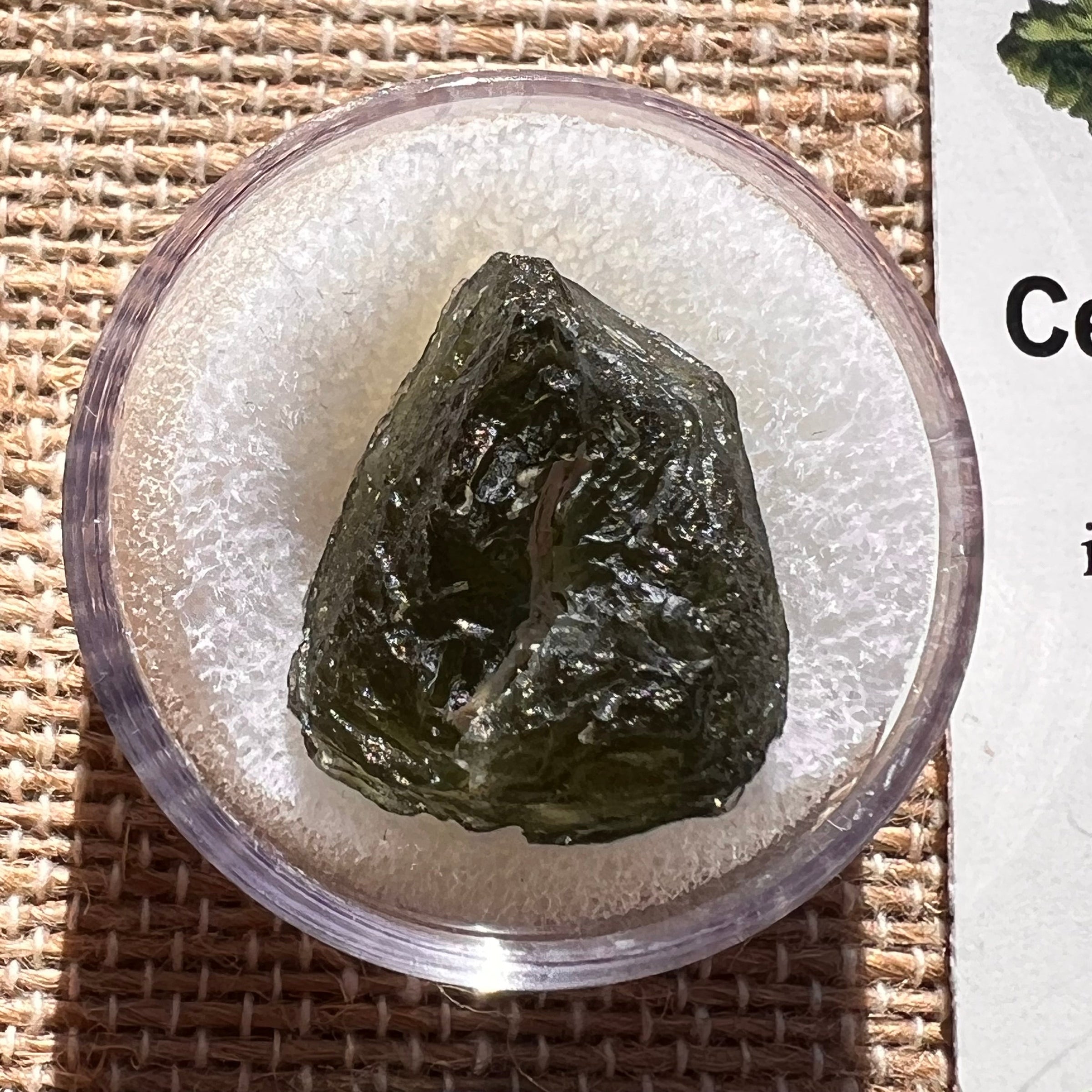 Moldavite 2.7 grams #1975-Moldavite Life