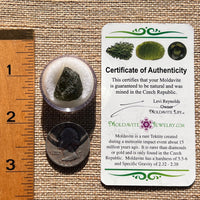 Moldavite 2.7 grams #1975-Moldavite Life