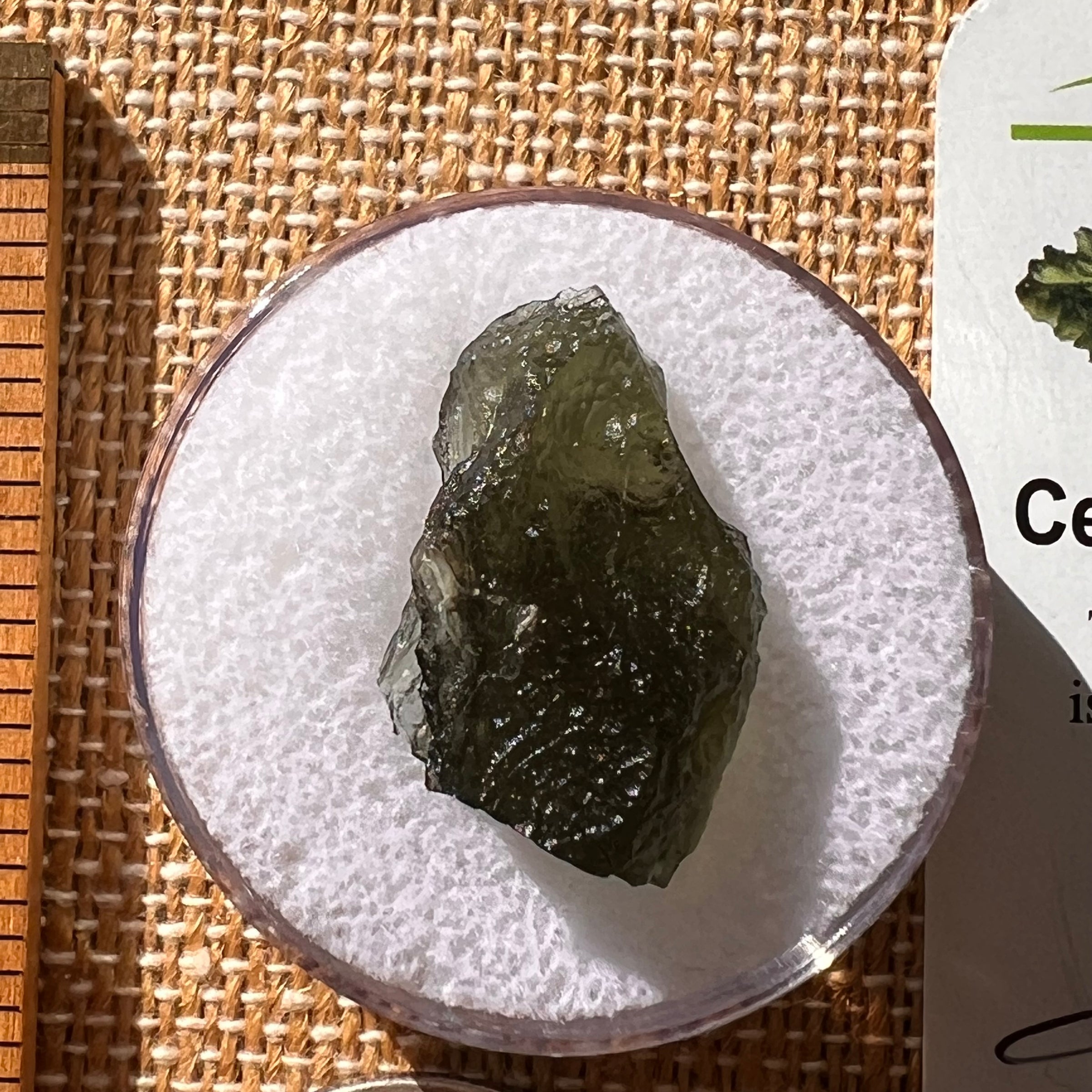 Moldavite 2.7 grams #2122-Moldavite Life