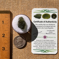 Moldavite 2.7 grams #2122-Moldavite Life