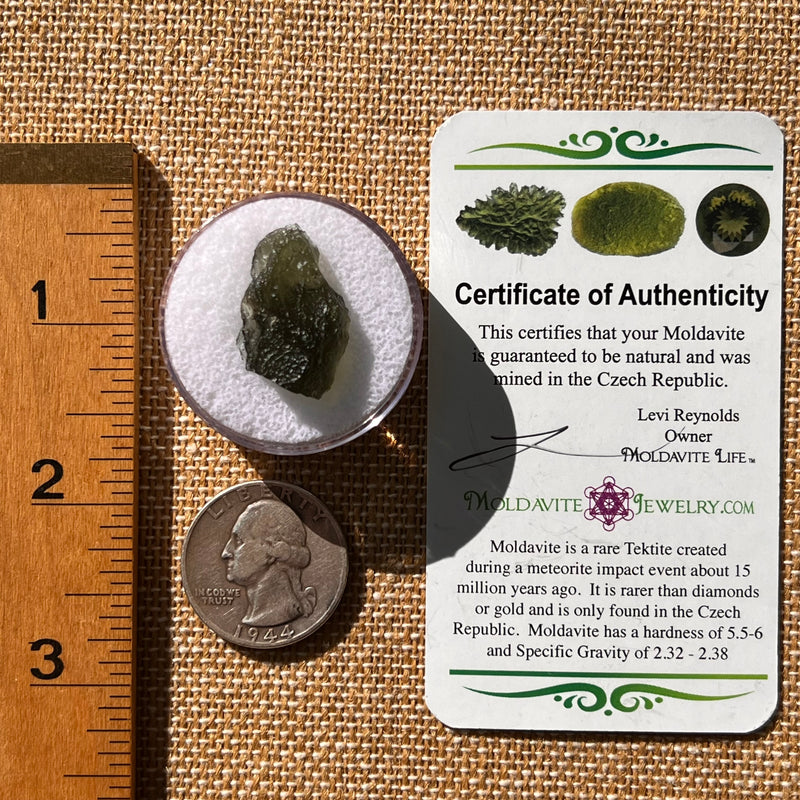 Moldavite 2.7 grams #2122-Moldavite Life