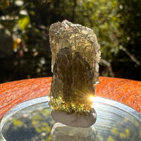 Moldavite 2.7 grams #2149-Moldavite Life
